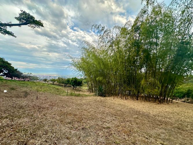 Lote en venta en La Buitrera, Cali, 3000 m² · foto 2 de 9