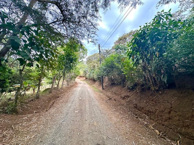 Lote en venta en La Buitrera, Cali, 3000 m² · foto 6 de 9