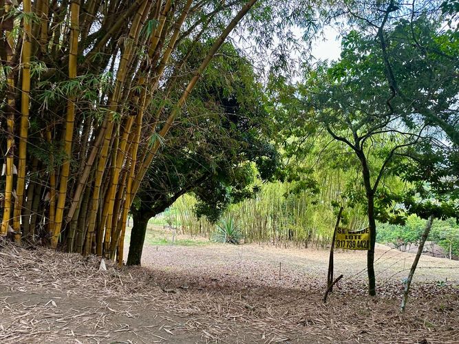 Lote en venta en La Buitrera, Cali, 3000 m² · foto 8 de 9