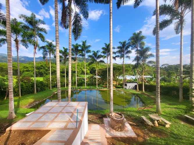 Finca en venta en Combia, Pereira, 2000 m² · foto 8 de 15