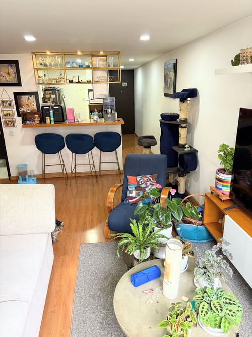 Apartaestudio en venta en Chapinero Alto, Bogotá, 54 m² · foto 2 de 21