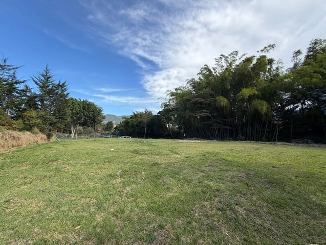 Lote en venta en El Tambo, La Ceja, 2500 m² · foto 6 de 13