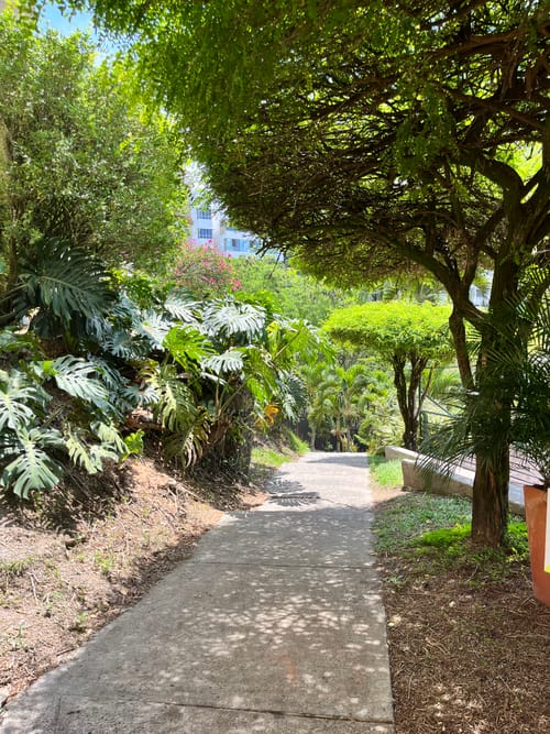Apartamento de 3 alcobas en venta en Bellavista, Cali, 125 m² · foto 20 de 23