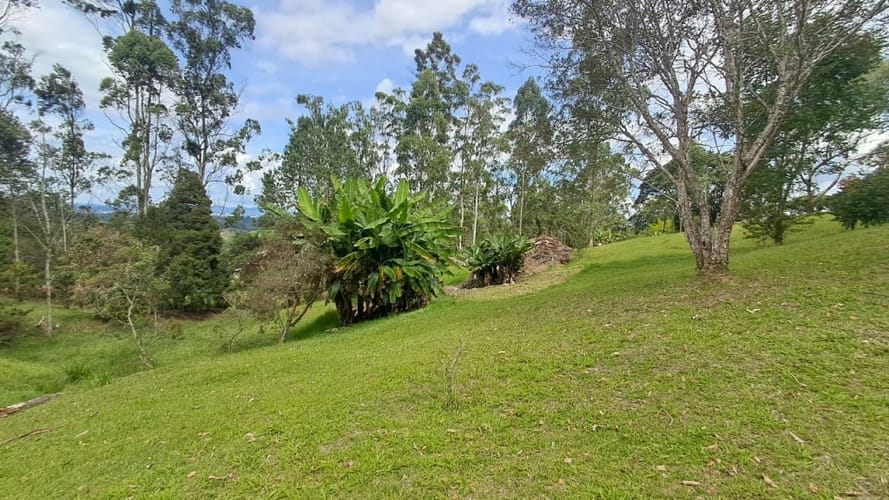 Lote en venta en Llano Grande, Rionegro, 5542 m² · foto 2 de 11