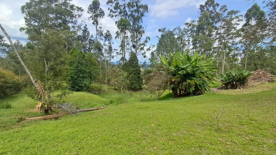 Lote en venta en Llano Grande, Rionegro, 5542 m² · foto 4 de 11