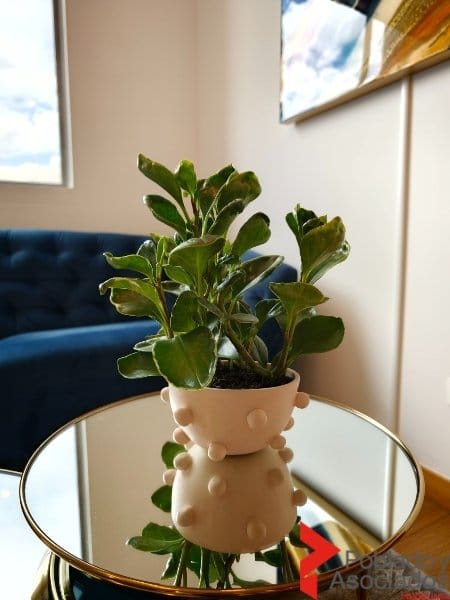 Apartamento de 2 alcobas en arriendo en Loma Del Esmeraldal, Envigado, 72 m² · foto 15 de 19