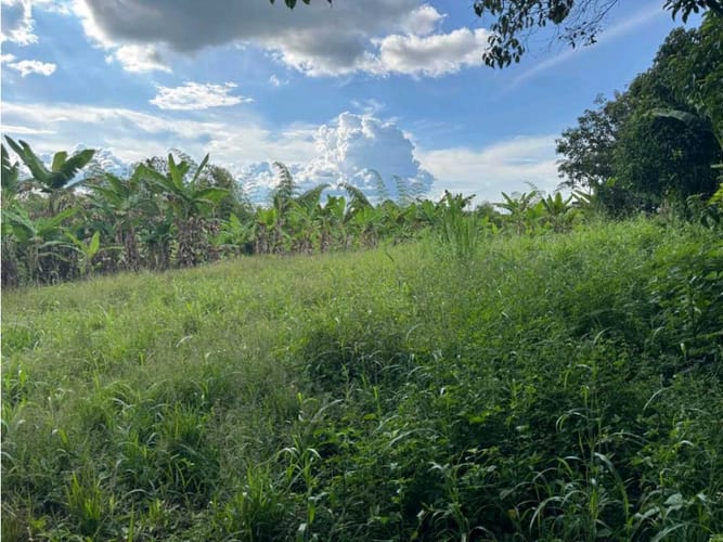 Finca en venta en Vía El Caimo, Armenia, 120 m² · foto 11 de 20