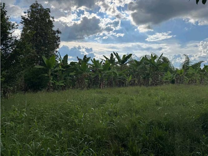 Finca en venta en Vía El Caimo, Armenia, 120 m² · foto 16 de 20