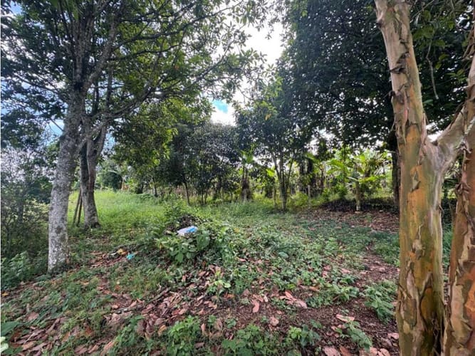 Finca en venta en Vía El Caimo, Armenia, 120 m² · foto 19 de 20