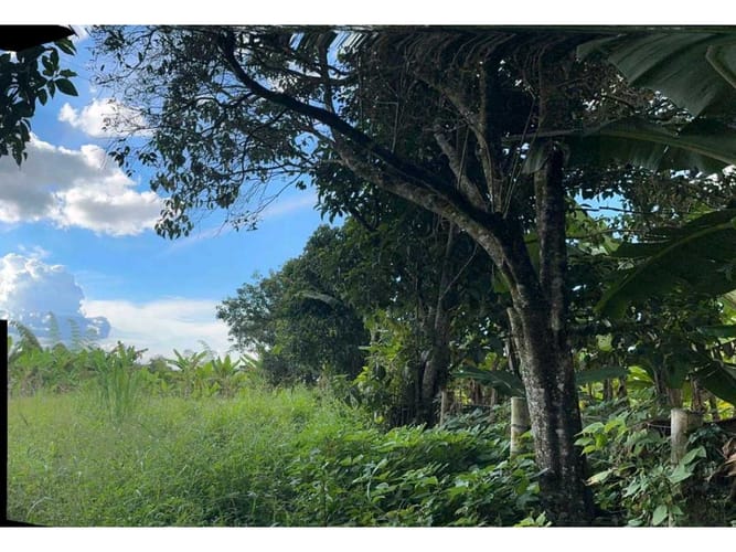 Finca en venta en Vía El Caimo, Armenia, 120 m² · foto 20 de 20