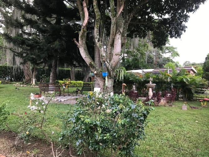 Casa de 4 alcobas en venta en Los Llanitos, Piedecuesta · foto 18 de 20