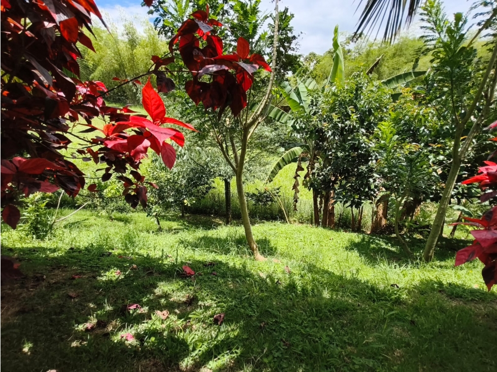 Casa en venta en Cerritos, Pereira · foto 3 de 18