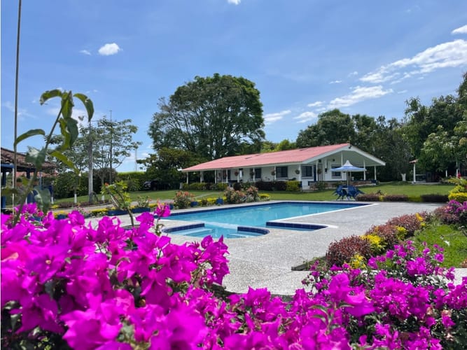 Finca en venta en Condina, Pereira, 412 m² · foto 3 de 23