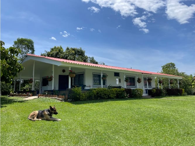 Finca en venta en Condina, Pereira, 412 m² · foto 5 de 23