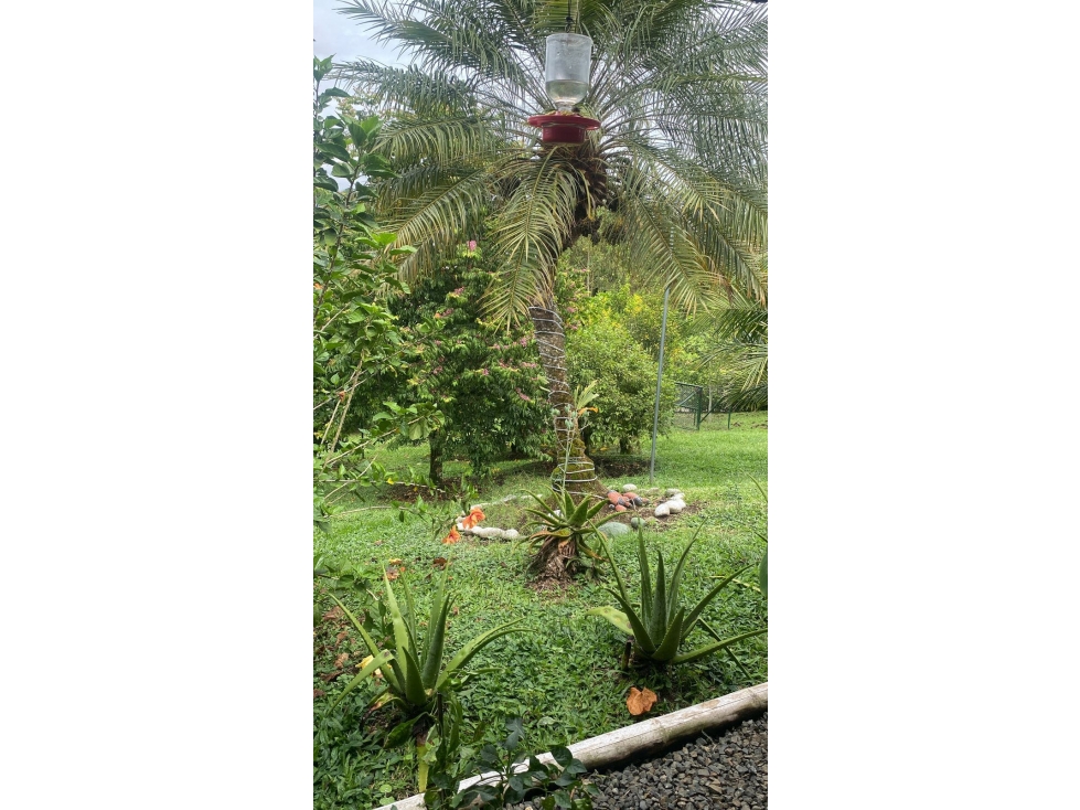 Casa en venta en Morelia, Pereira · foto 24 de 24