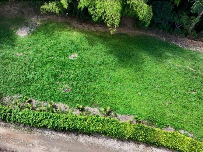Lote en venta en Morelia, Pereira, 1897 m² · foto 3 de 20