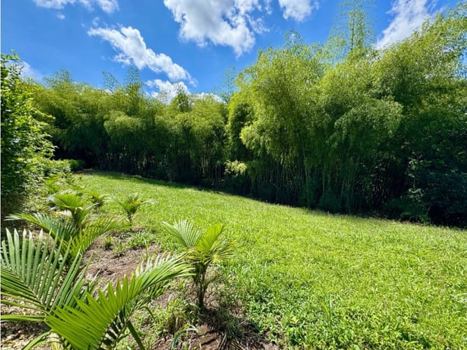 Lote en venta en Morelia, Pereira, 1897 m² · foto 9 de 20
