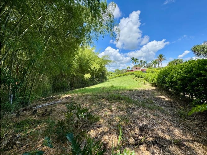 Lote en venta en Morelia, Pereira, 1897 m² · foto 14 de 20