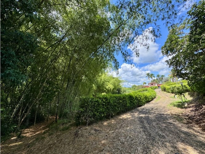Lote en venta en Morelia, Pereira, 1897 m² · foto 15 de 20