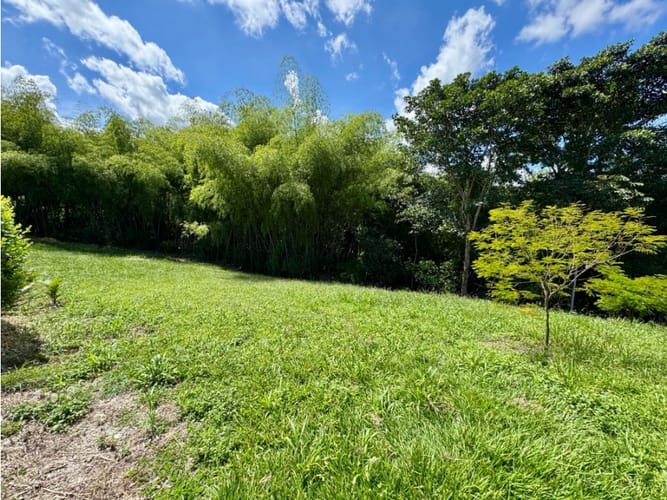 Lote en venta en Morelia, Pereira, 1897 m² · foto 18 de 20