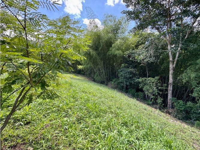 Lote en venta en Morelia, Pereira, 1897 m² · foto 20 de 20