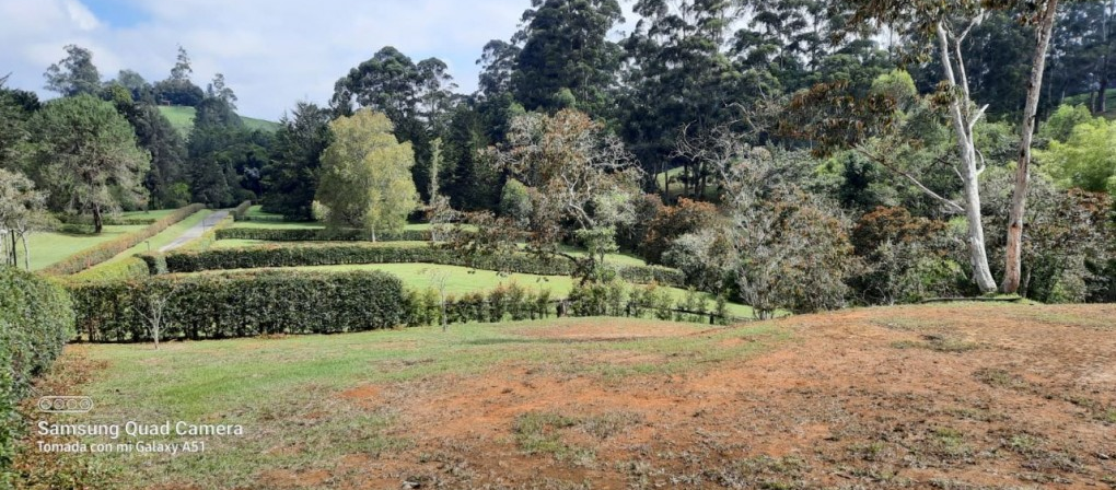 Lote en venta en El Capiro, Rionegro, 3368 m² · foto 6 de 9