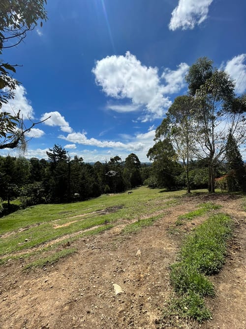 Lote en venta en Sajonia, Rionegro, 5350 m² · foto 2 de 7