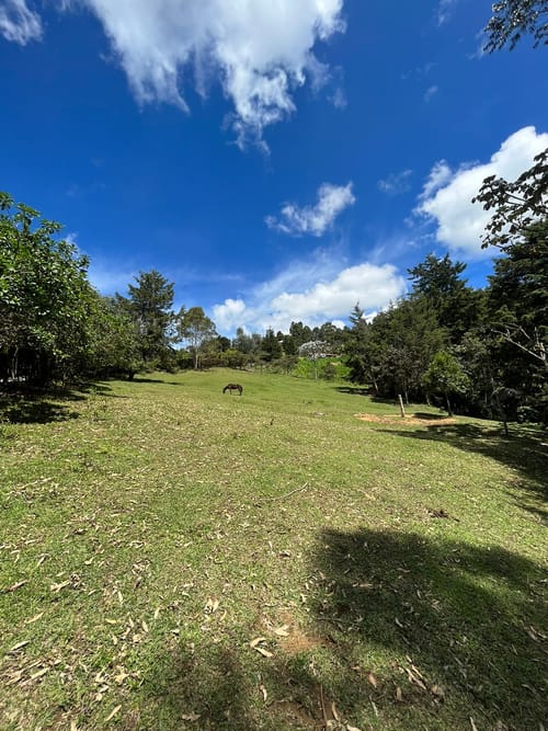 Lote en venta en Sajonia, Rionegro, 5350 m² · foto 5 de 7