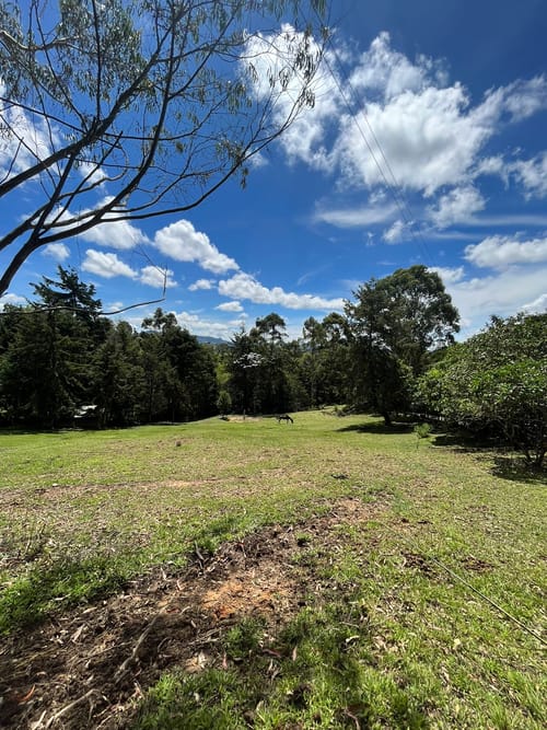 Lote en venta en Sajonia, Rionegro, 5350 m² · foto 6 de 7