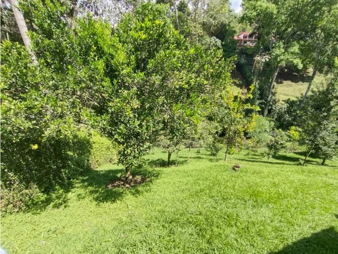 Casa de 4 alcobas en venta en Via La Tebaida, Armenia, 330 m² · foto 13 de 18