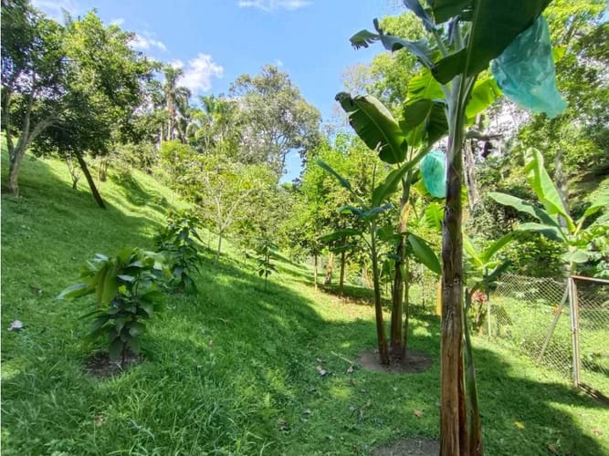 Casa de 4 alcobas en venta en Via La Tebaida, Armenia, 330 m² · foto 14 de 18