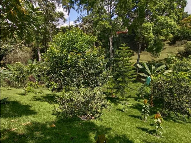 Casa de 4 alcobas en venta en Via La Tebaida, Armenia, 330 m² · foto 15 de 18
