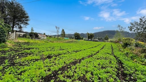 Lote en venta en El Volcan, La Calera, 9 m² · foto 2 de 11