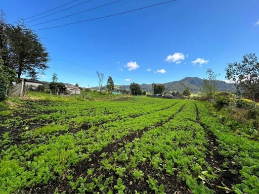 Lote en venta en El Volcan, La Calera, 9 m² · foto 4 de 11