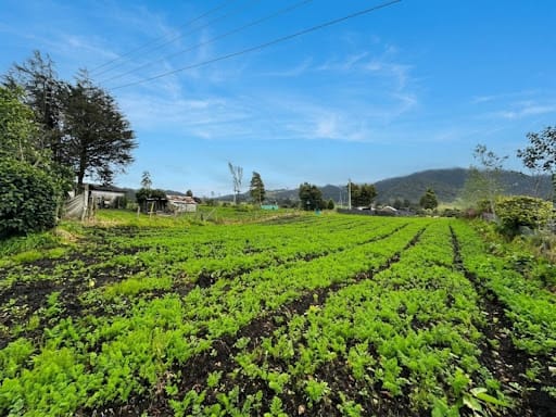 Lote en venta en El Volcan, La Calera, 9 m² · foto 6 de 11