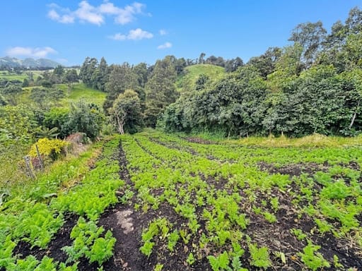 Lote en venta en El Volcan, La Calera, 9 m² · foto 7 de 11