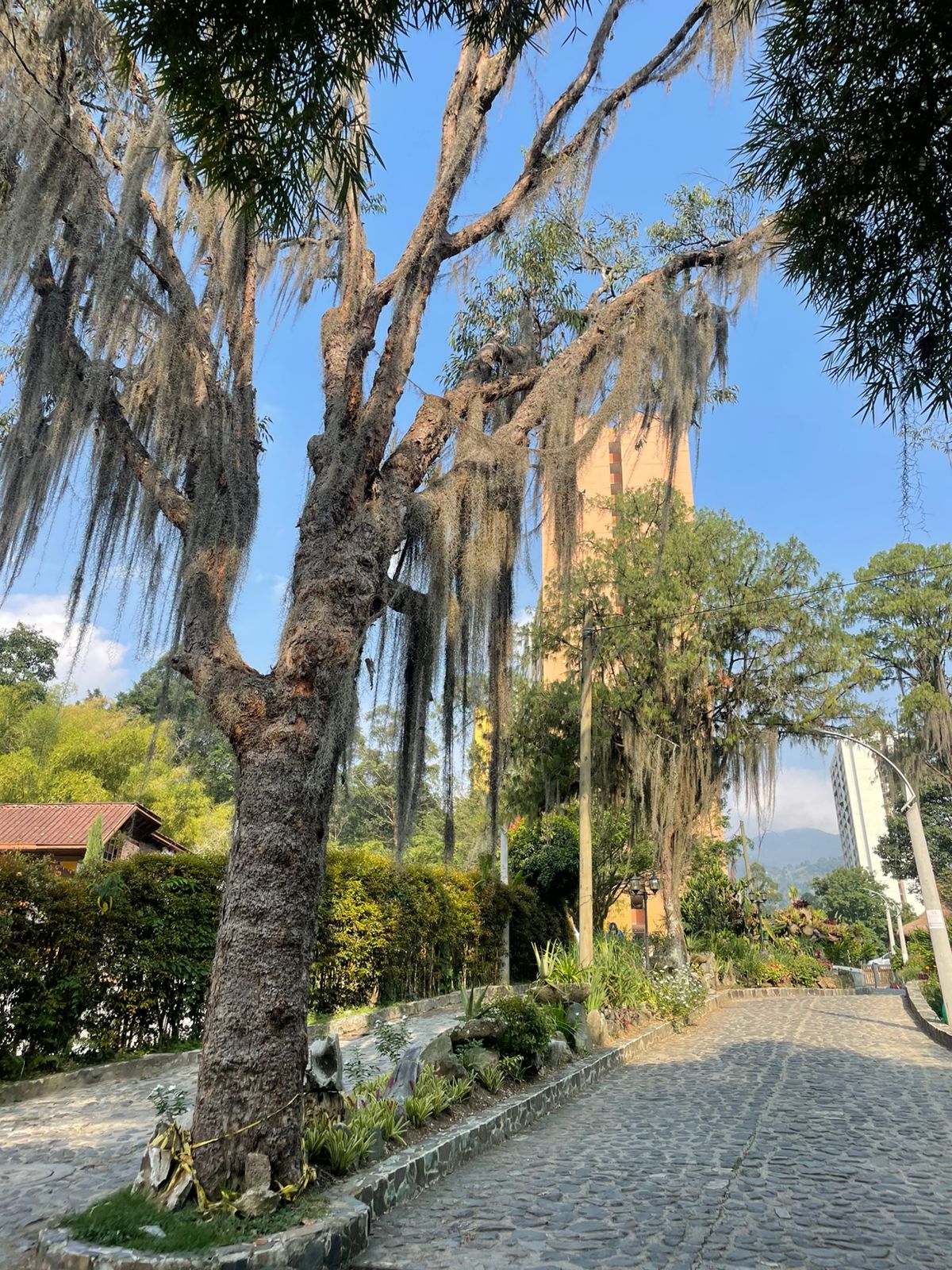 Apartamento en venta en La Aldea, La Estrella · foto 7 de 18