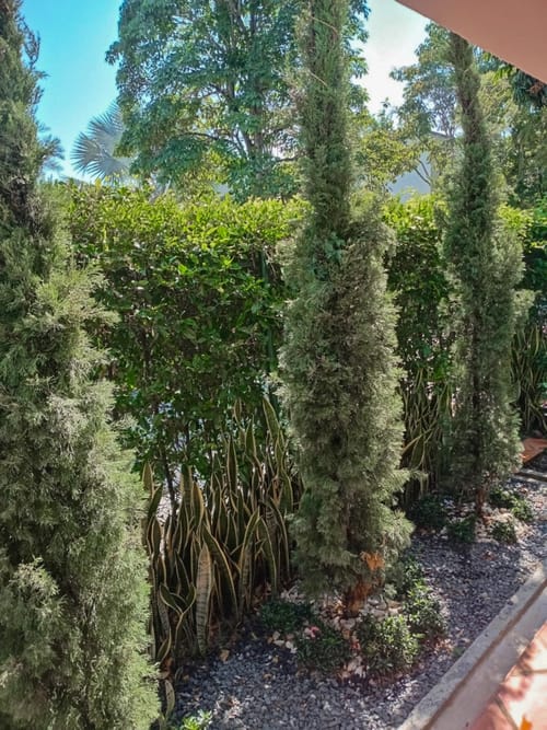 Casa de 6 alcobas en venta en Cascajal, Cali, 298 m² · foto 5 de 12