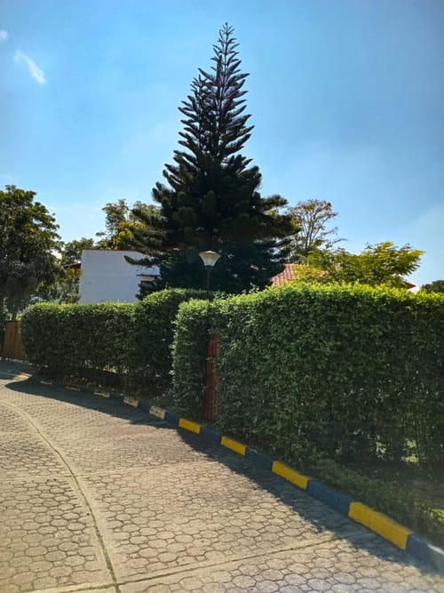 Casa de 6 alcobas en venta en Cascajal, Cali, 298 m² · foto 6 de 12