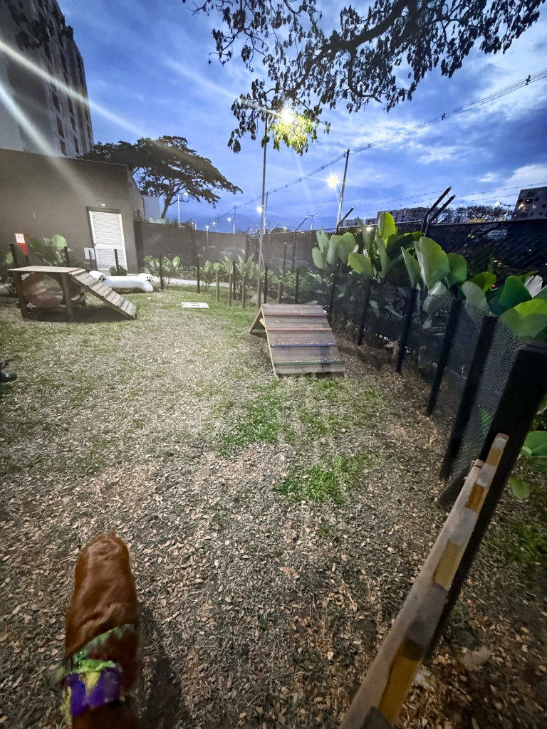 Apartamento en venta en Cachipay, Cali · foto 16 de 17