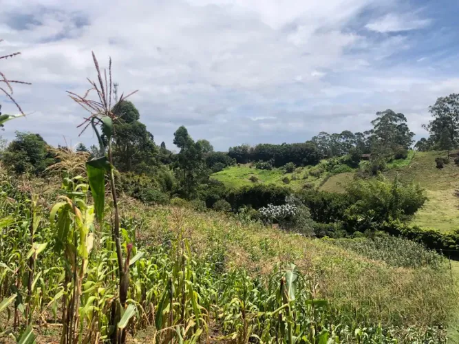Lote en venta en Santa Ana, Rionegro, 31150 m² · foto 7 de 24