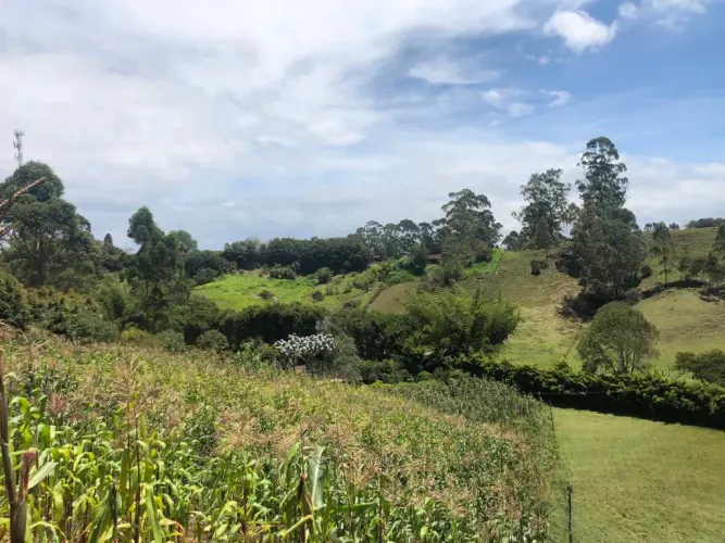 Lote en venta en Santa Ana, Rionegro, 31150 m² · foto 9 de 24