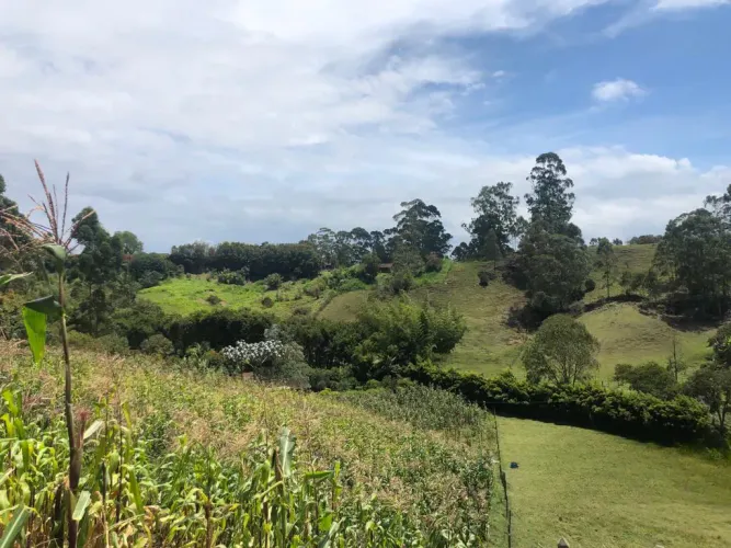 Lote en venta en Santa Ana, Rionegro, 31150 m² · foto 14 de 24
