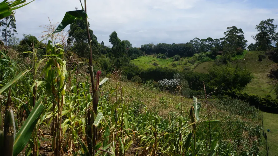 Lote en venta en Santa Ana, Rionegro, 31150 m² · foto 15 de 24
