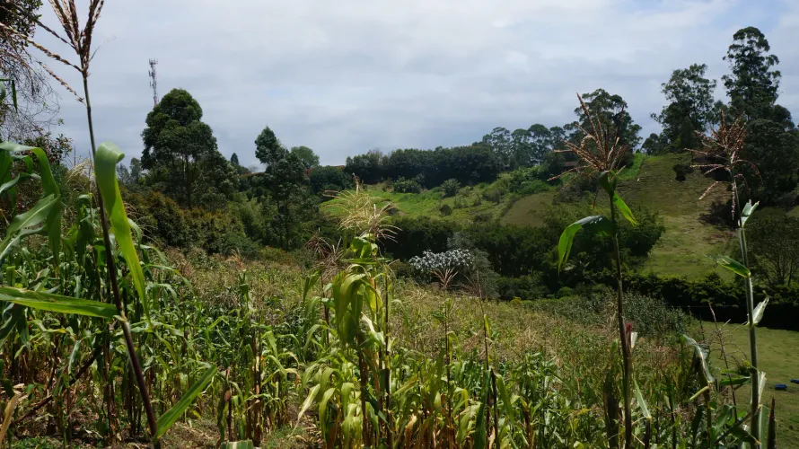 Lote en venta en Santa Ana, Rionegro, 31150 m² · foto 16 de 24