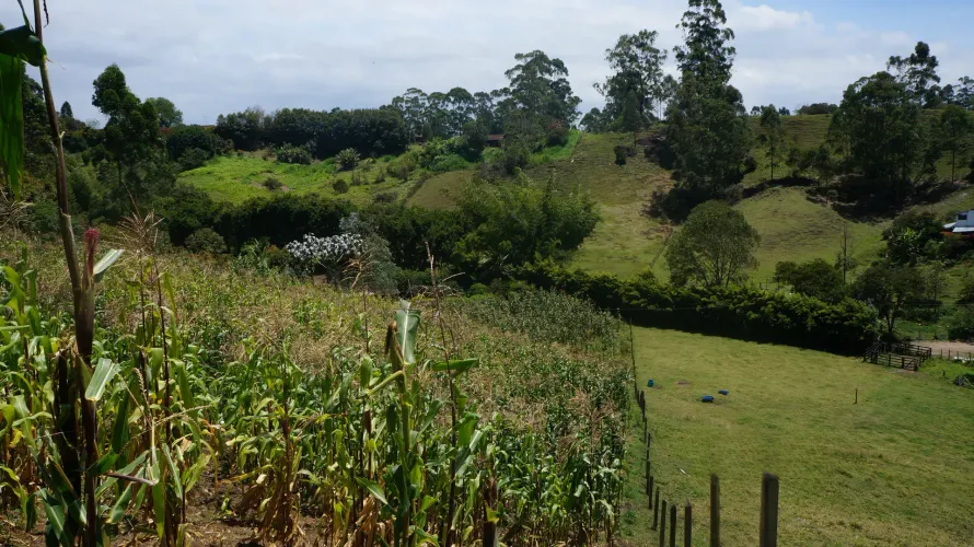 Lote en venta en Santa Ana, Rionegro, 31150 m² · foto 20 de 24