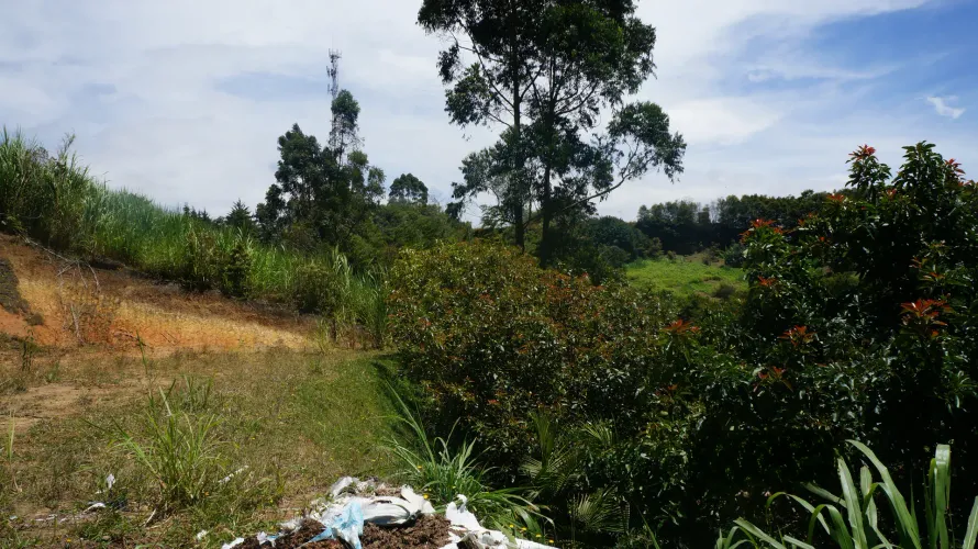 Lote en venta en Santa Ana, Rionegro, 31150 m² · foto 22 de 24