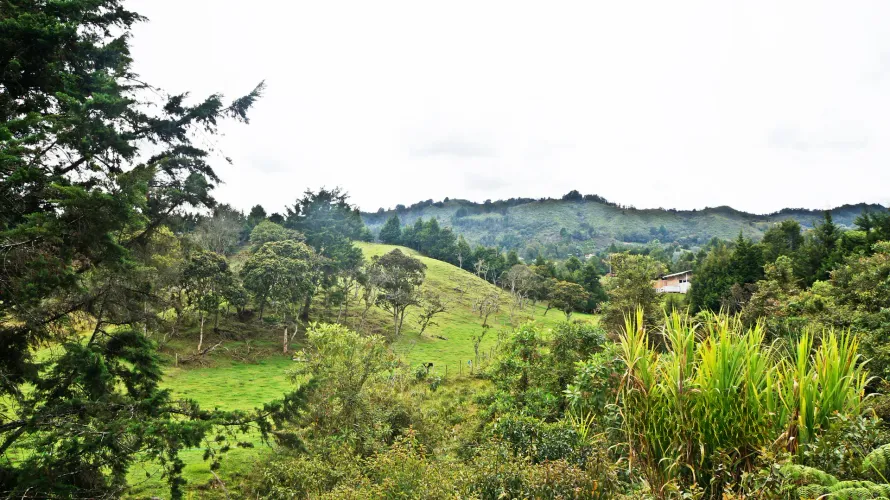 Lote en venta en Playa Rica-Rancheria, Rionegro, 32000 m² · foto 2 de 7