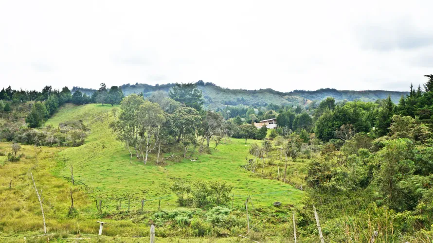 Lote en venta en Playa Rica-Rancheria, Rionegro, 32000 m² · foto 3 de 7