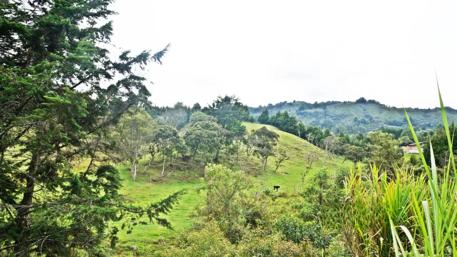 Lote en venta en Playa Rica-Rancheria, Rionegro, 32000 m² · foto 4 de 7
